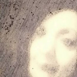 345608838_548881667405968_5736418063378147502_n